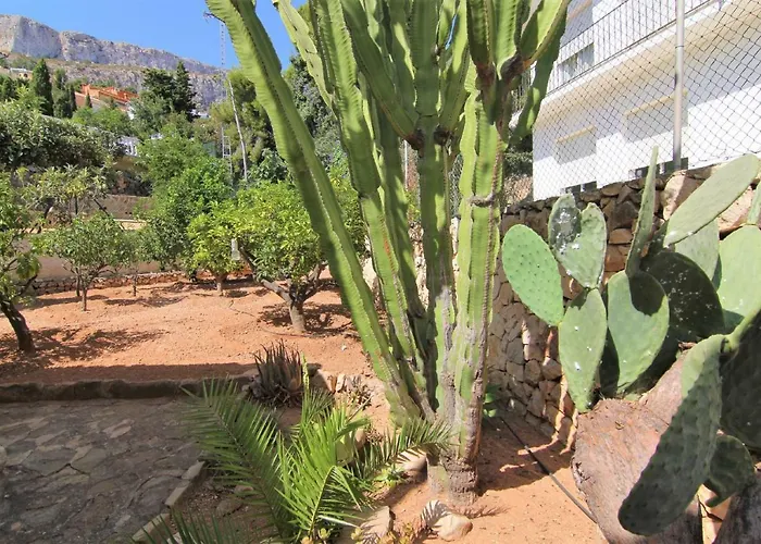 فيلة Villavenus *