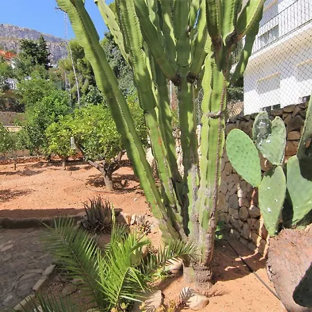 Вилла Villavenus *